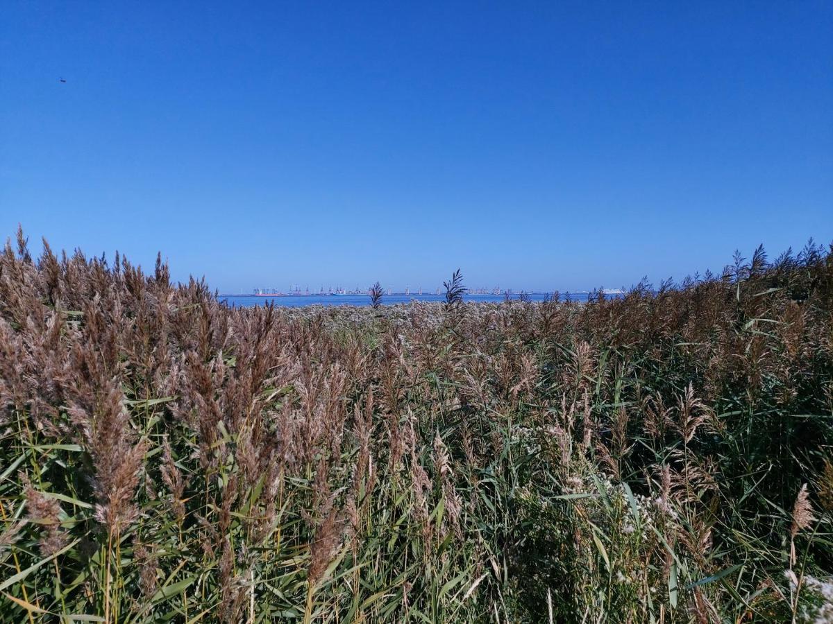 ブットヤーディンゲンAlte Schule Waddensアパートメント エクステリア 写真