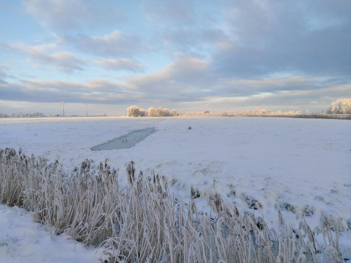ブットヤーディンゲンAlte Schule Waddensアパートメント エクステリア 写真